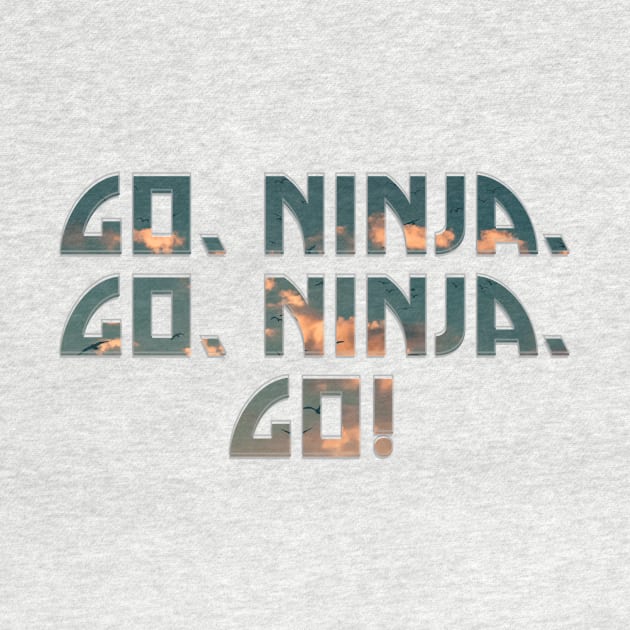 Go, Ninja, Go, Ninja, Go! by afternoontees